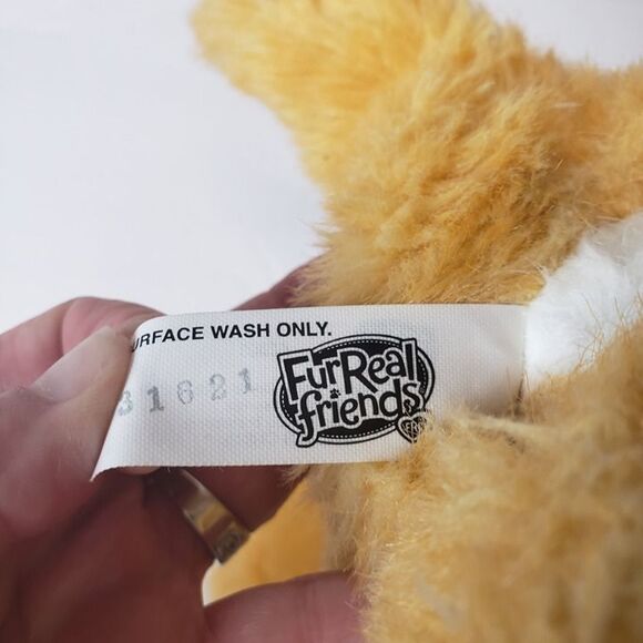 Hasbro FurReal Friends Animated Orange Daisy Plays With Me Kitty Cat Plush Toy - Picture 8 of 10